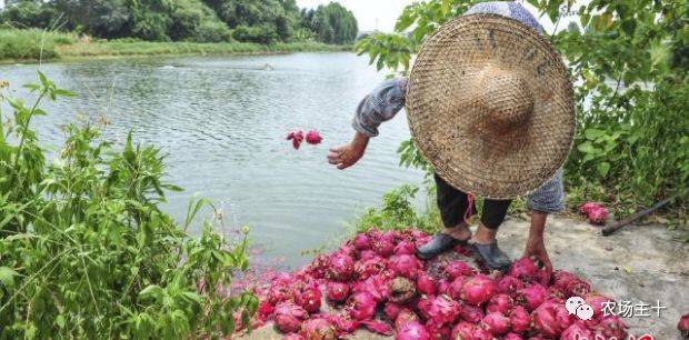 搞农业打工,搞农业的人是真的辛苦