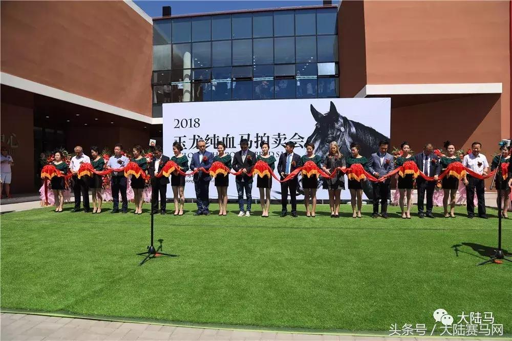 均价超30万，总成交价1300万！半数新马主成玉龙纯血马拍卖会主力