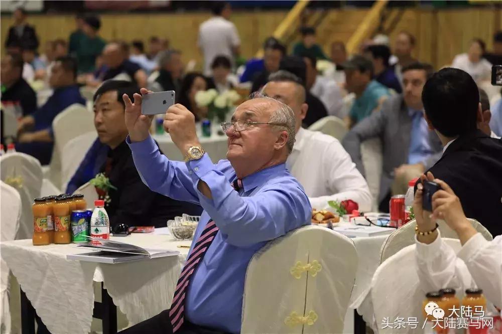 山西玉龙马业拍卖会,中国马拍卖会