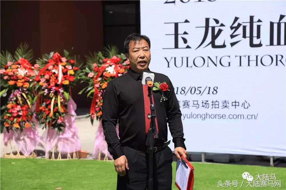 山西玉龙马业拍卖会,中国马拍卖会