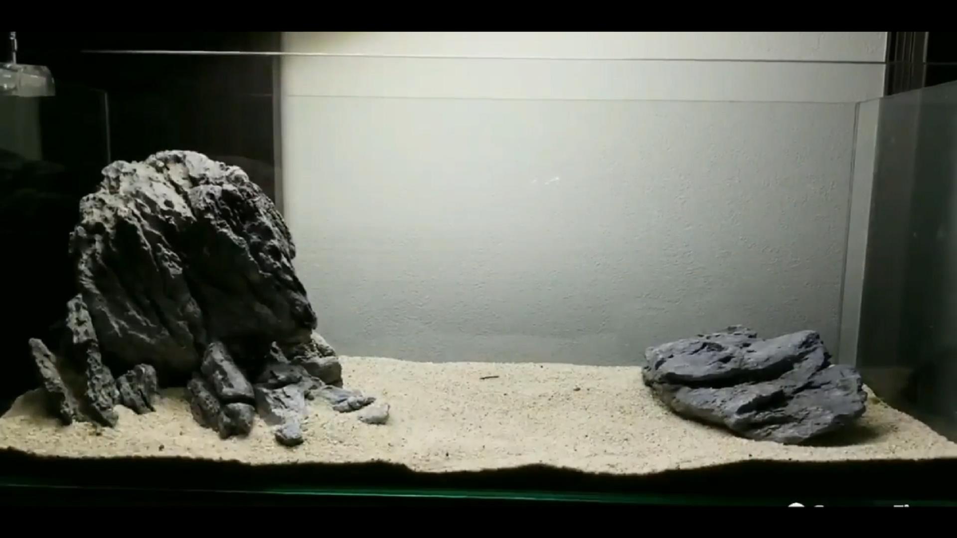 石头开缸需要养水吗,纯石头缸能养出硝化细菌吗