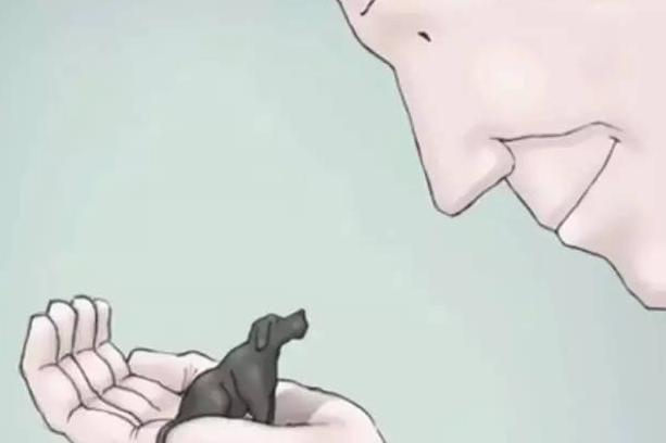 老公对抑郁症的我漠不关心怎么办,老公有抑郁症我该怎么办