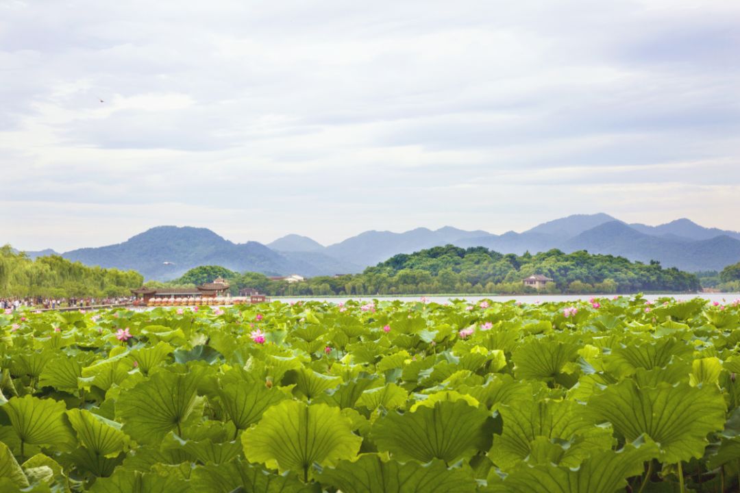 杭州余杭区旅游一日游,余杭一日游最佳景点