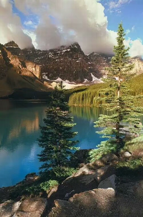 三年级语文上册句子变换练习,小学语文拓展句子练习