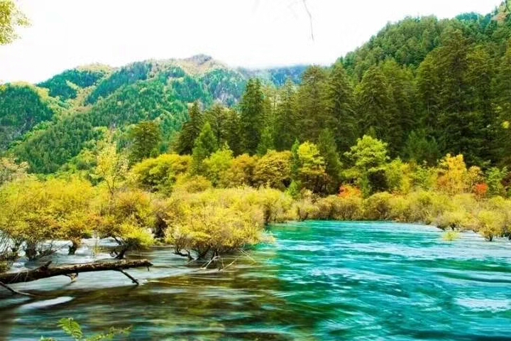 三年级语文上册句子变换练习,小学语文拓展句子练习