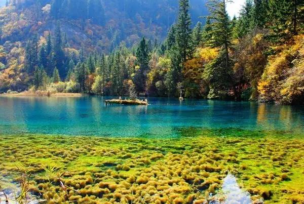 旅游执法的十大骗局,旅游业骗局