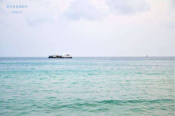 来三亚一定要吃的美食,来三亚为什么非要吃海鲜