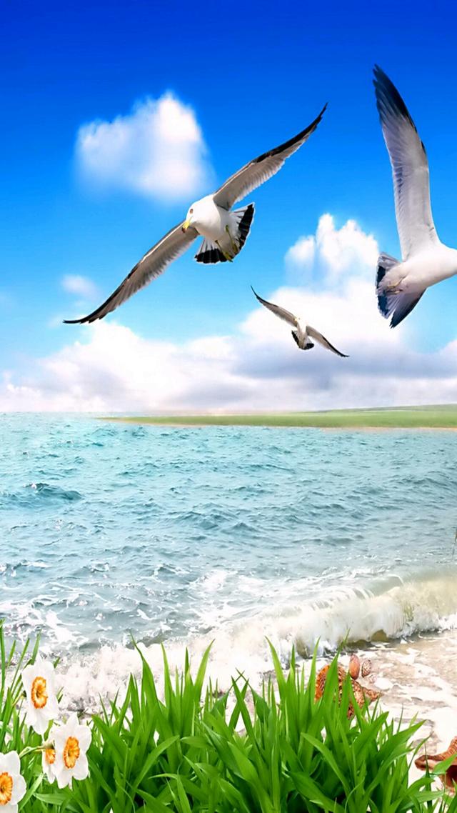 初入社会就想着如何赚钱,30分钟讲解无本钱创业30种方法