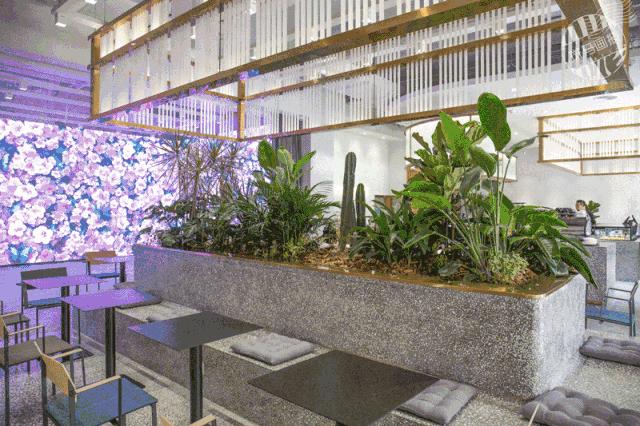 徐汇区逛吃,徐汇逛吃