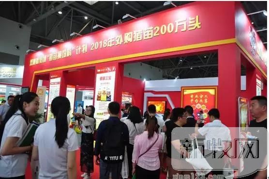 双胞胎饲料展会,双胞胎猪苗采购