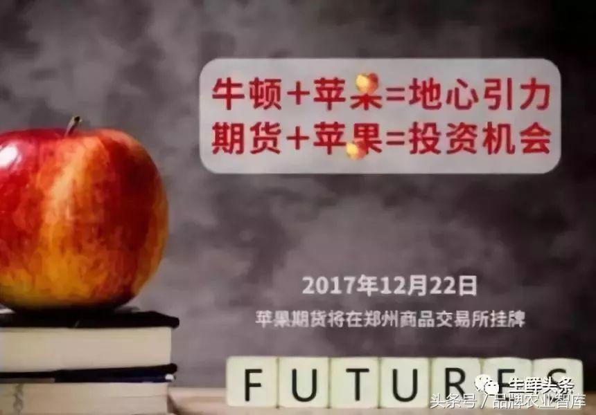 疯狂的苹果,疯狂的小苹果期货