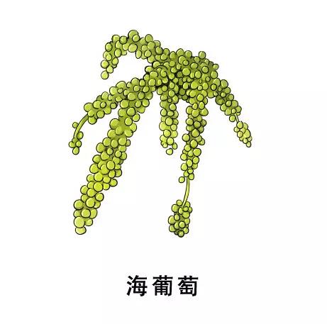 数博会在哪个位置呢,数博会近期活动