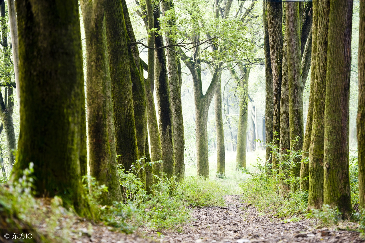 南昌都有哪些好玩的地方,南昌有哪些好玩的地方值得去