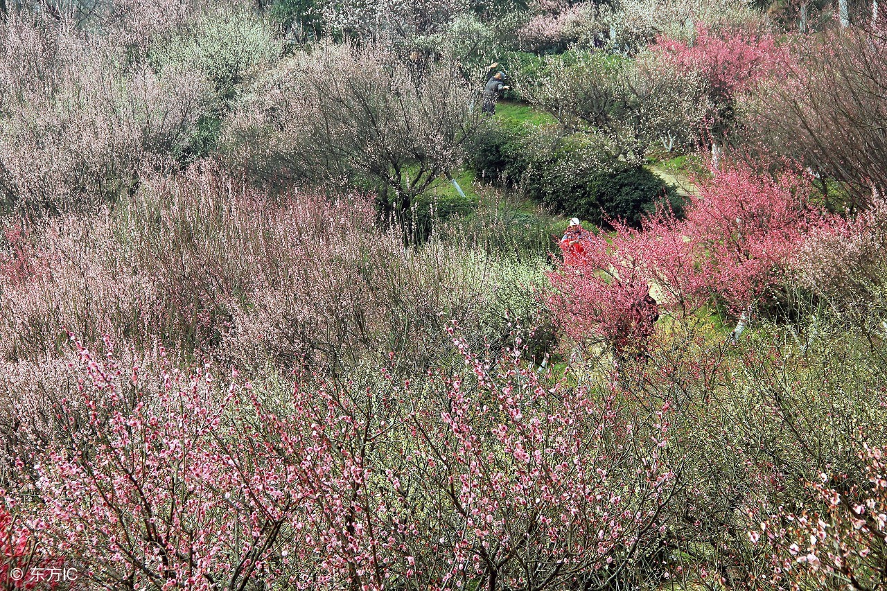 南昌都有哪些好玩的地方,南昌有哪些好玩的地方值得去