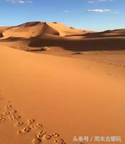 去了夏威夷才知道女人不用穿bra,去了斐济才知道,男人不爱穿裤子