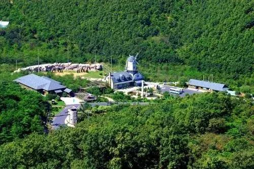 大连周边最佳赏槐地美的让人窒息