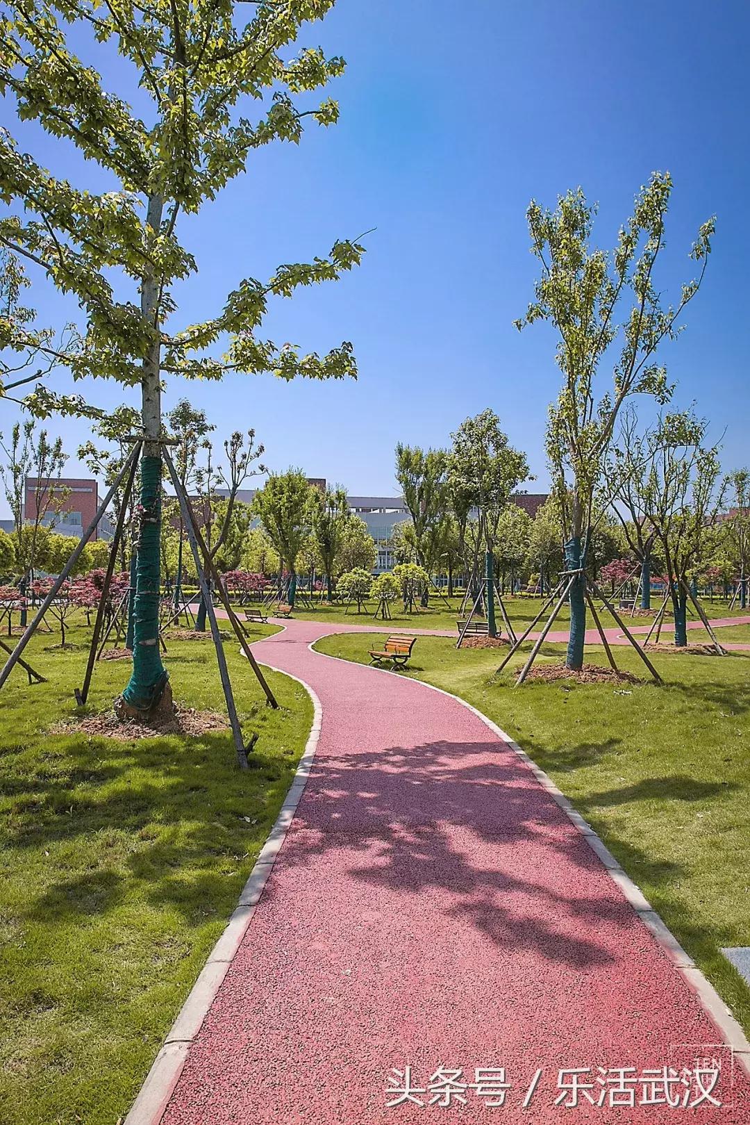 武汉学风好的大学,武汉高校外号