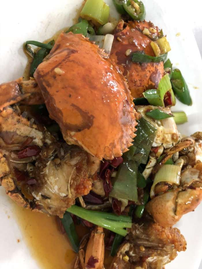 北纬十八度热带雨林天堂三亚,天堂森林公园三亚