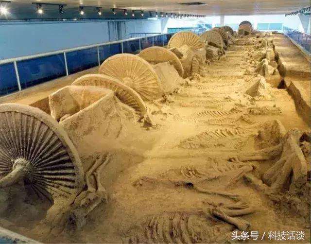 青岛至济南高铁什么时候开通的,济青高铁开通到威海吗