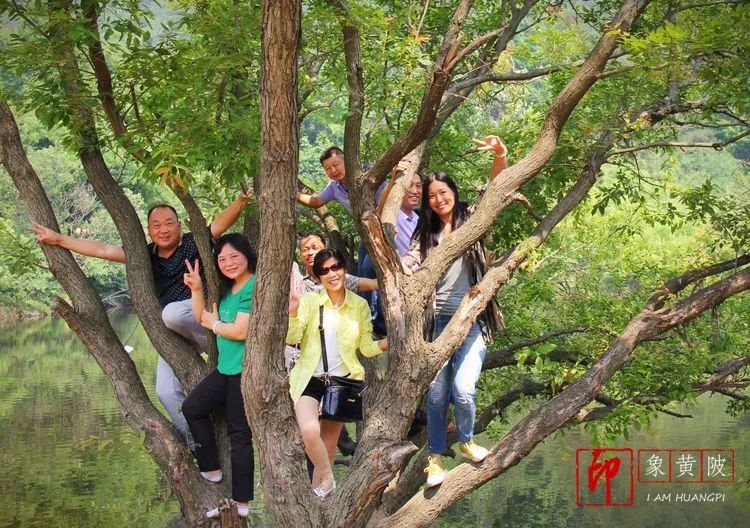 黄陂好景何处觅，火塔公路几十里