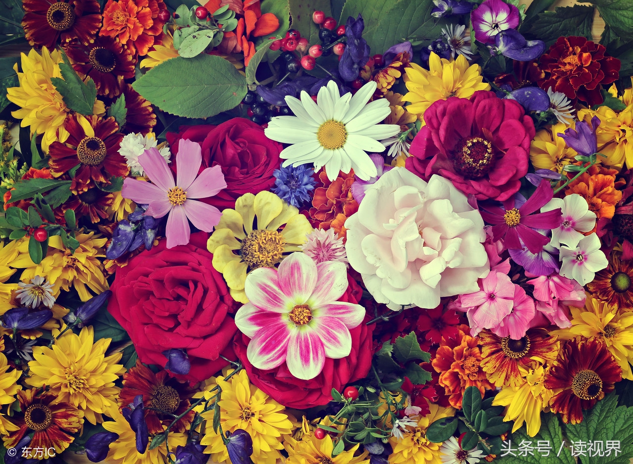 痛苦可怕吗,痛苦为什么放不下