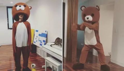 安宰贤具惠善恋爱多久结的婚,安宰贤和具惠善恋情曝光