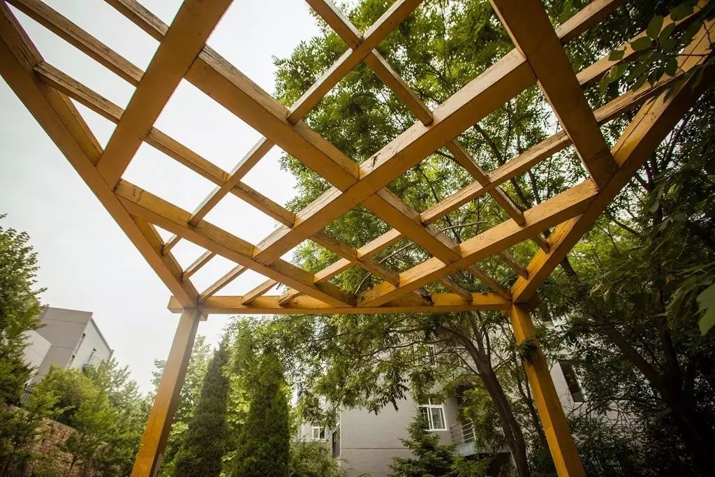 如果我爱你，我会牵你走遍大东软