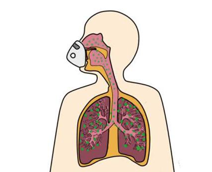 专家答疑家长教育孩子的五大困惑,解决家长的各种疑惑
