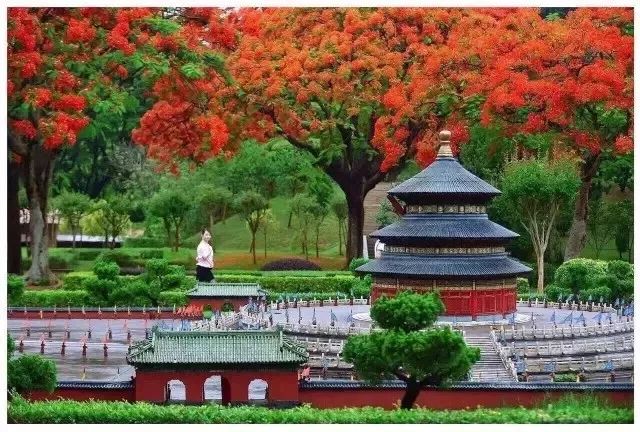 南国有嘉木的下一句是什么,南国有嘉木出处