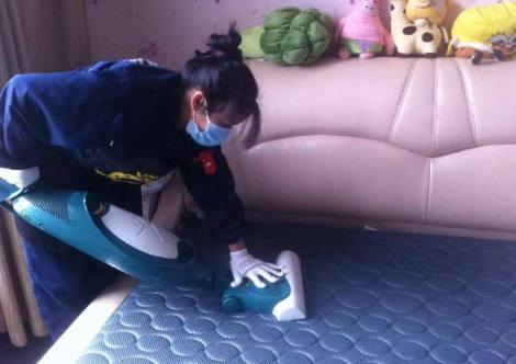 床垫久了长臭虫怎么用药杀死它,被子里螨虫多还是床垫螨虫多