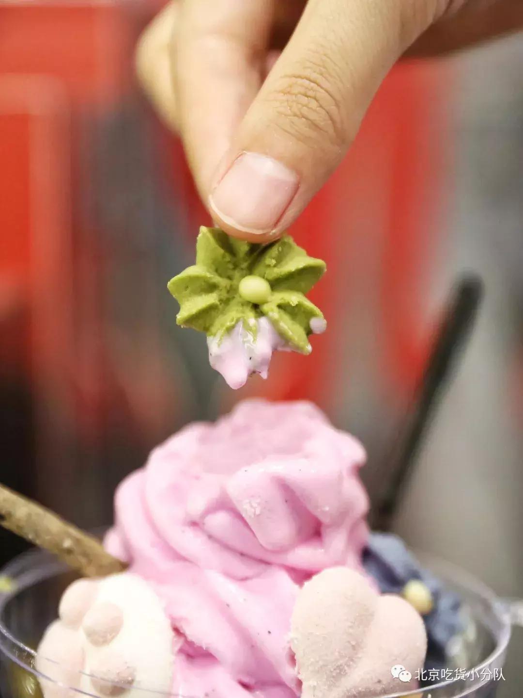 可爱的小奶狗吃冰激凌,小奶狗吃各种各样的冰淇淋