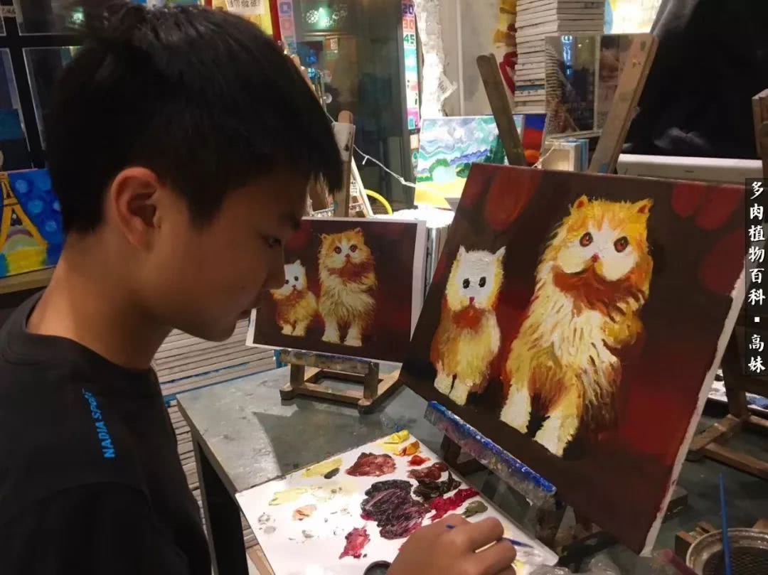 90张多肉图片——纪念入坑两周年！