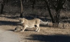 代购十大骗局揭秘图,真正的代购骗局