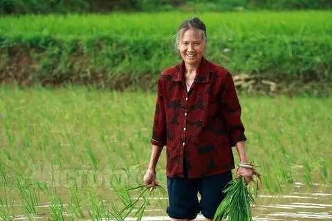 江西遂川老家视频,遂川县城的老县城照片