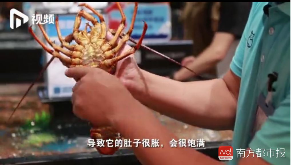 海鲜保水增重,海鲜注水