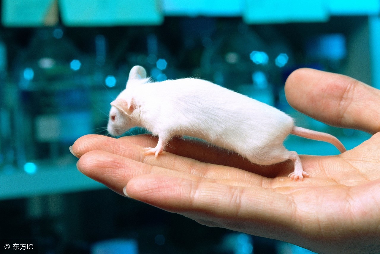 Ayawawa被封，PUA被唾弃，情感培训机构到底哪里出了问题？