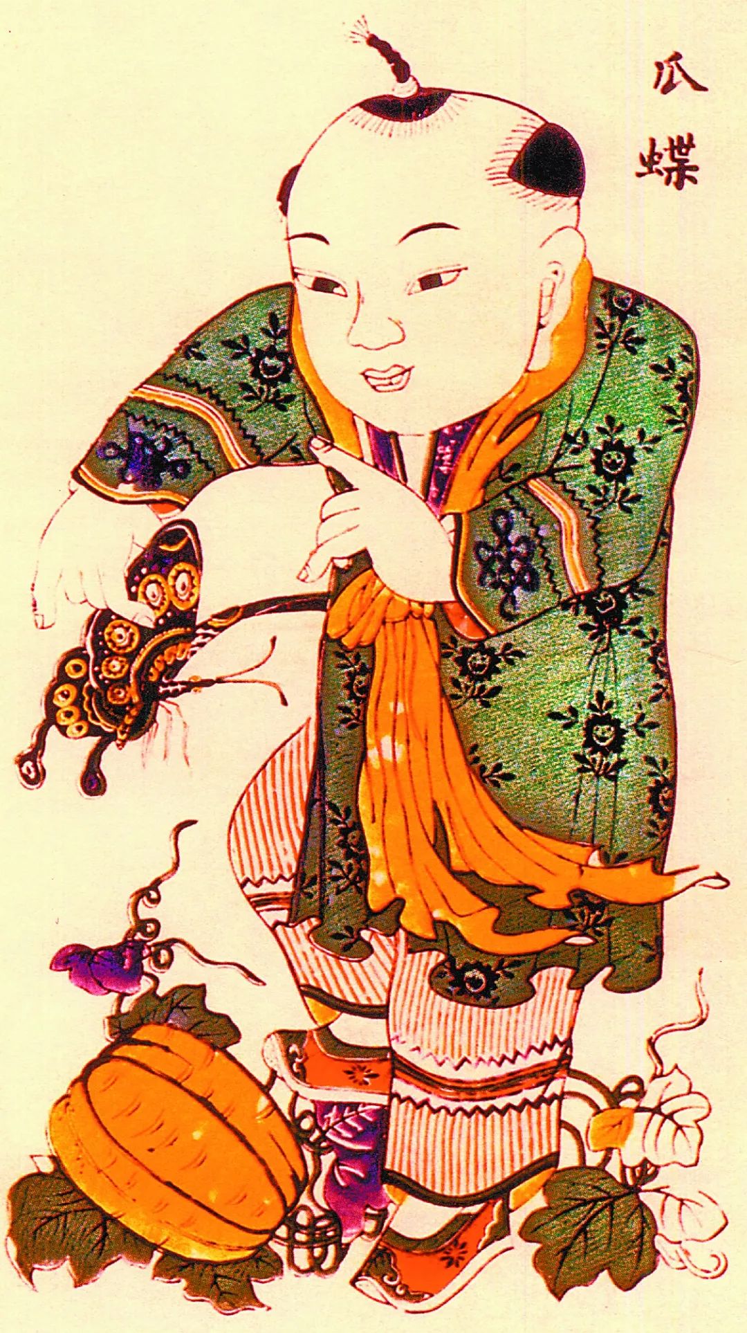 蝴蝶蜘蛛蚯蚓蝌蚪蜻蜓是什么动物,蝴蝶蜘蛛蜜蜂蜻蜓蚊子哪个不同类