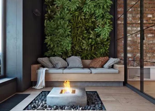 墙上种什么植物最好,景观墙上盆栽什么好看