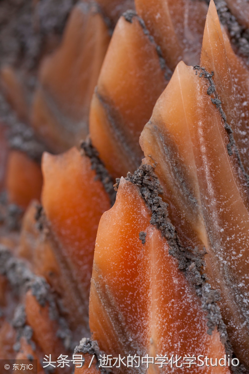 高中化学最基础的元素,高中化学元素知识网络图