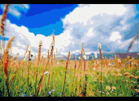 浙江省衢州市养生补贴,衢州旅游景点对全国医护人员免费