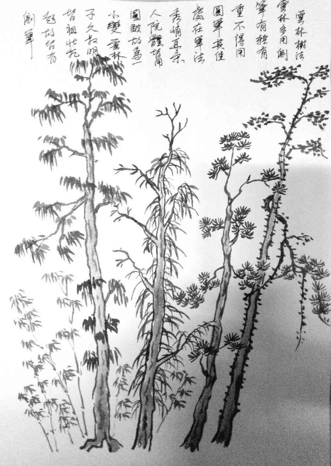 学画国画山水人物,国画山水中各种大树的画法