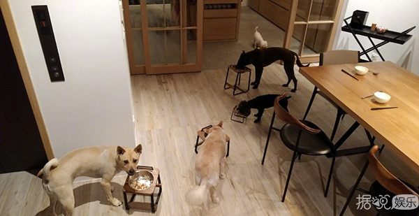 最豪华足球场草坪,足球场豪宅