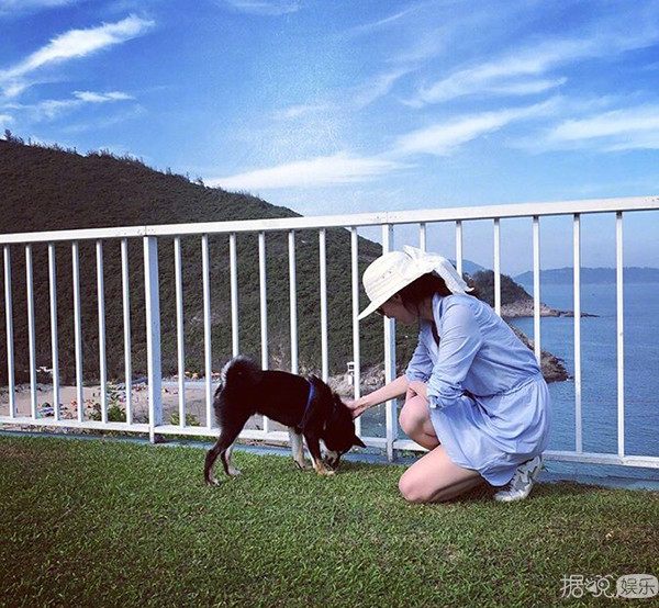 带有足球场的别墅,足球场别墅效果图