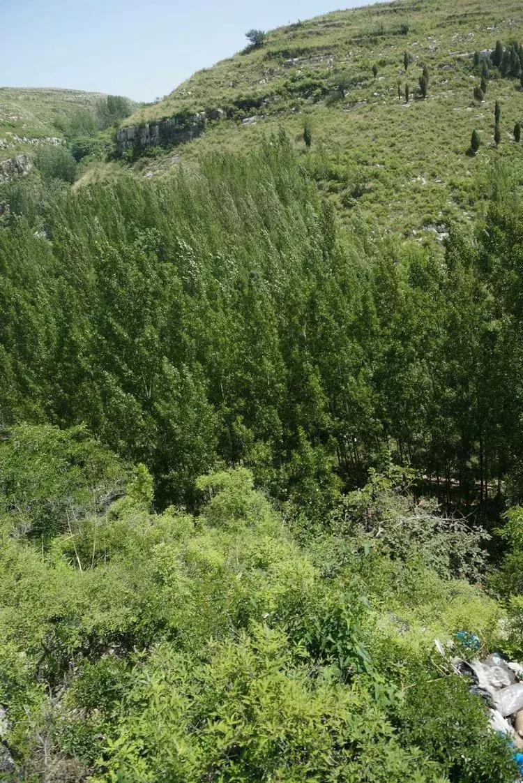 淄博淄川天晴湾户外唱歌,淄川龙泉天晴湾风景区