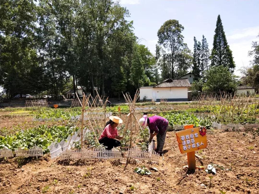 我去了成都向西50里的桃源村,朋友问我是不是去了日本?
