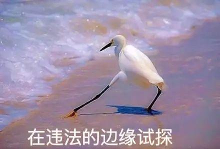 逾期上征信的好处,逾期为什么最好不超过三个月