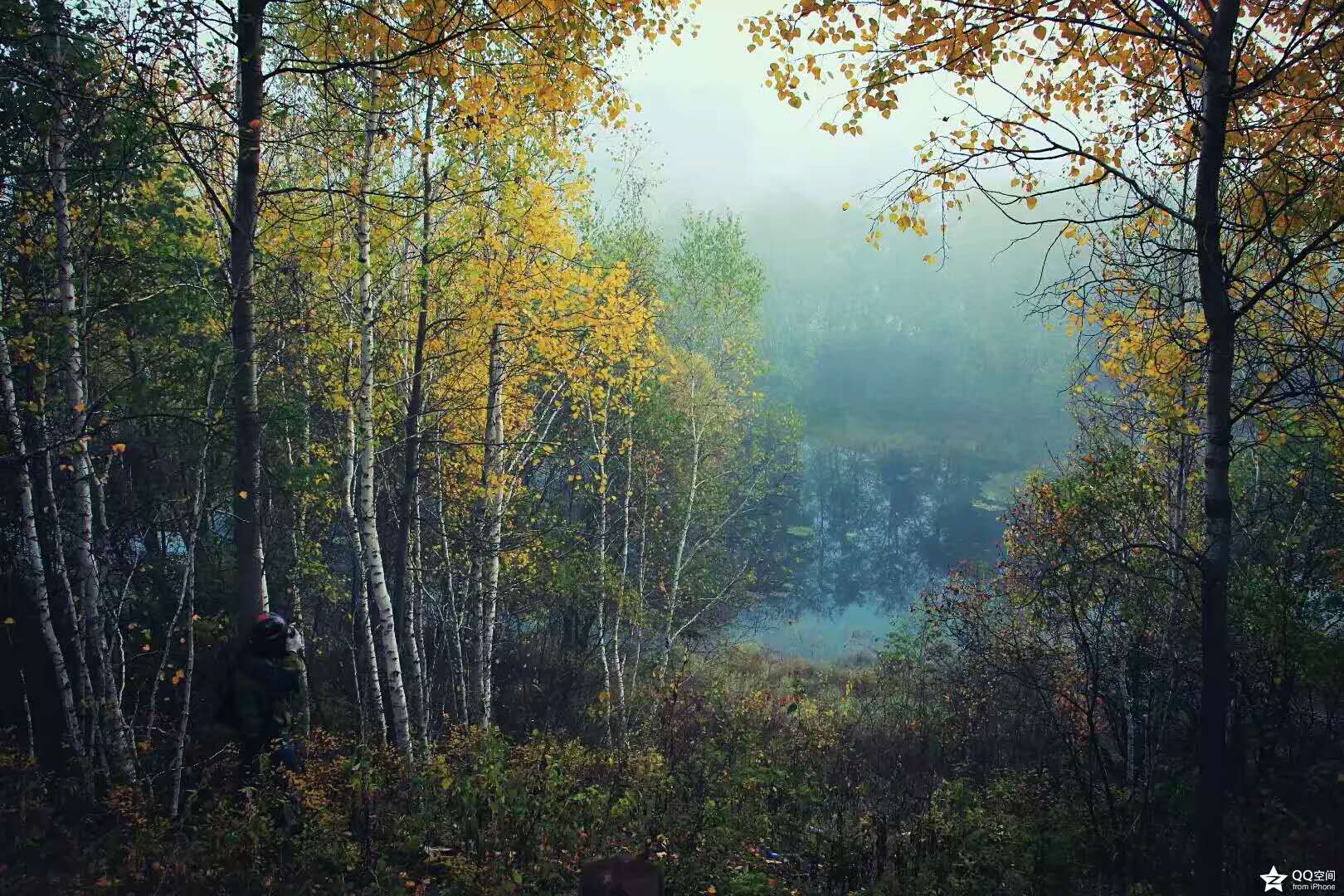 成都呼伦贝尔七日游价格,呼伦贝尔七日行攻略