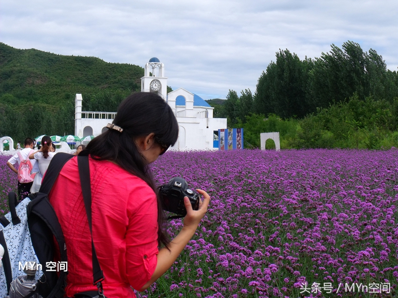 北京京郊游好去处,北京薰衣草庄园风景