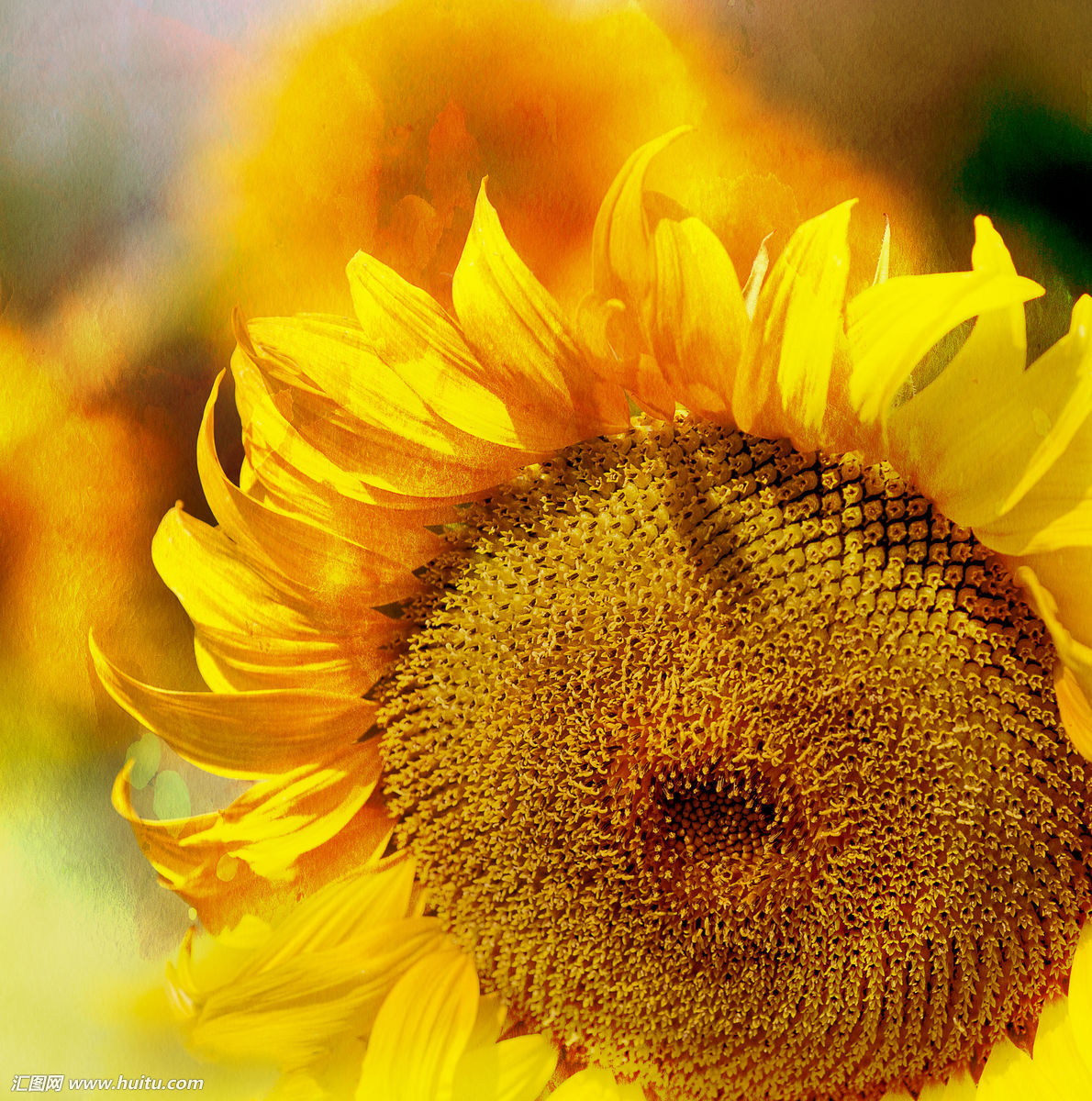 大理每个季节都很美,在大理每天都是那么的美好