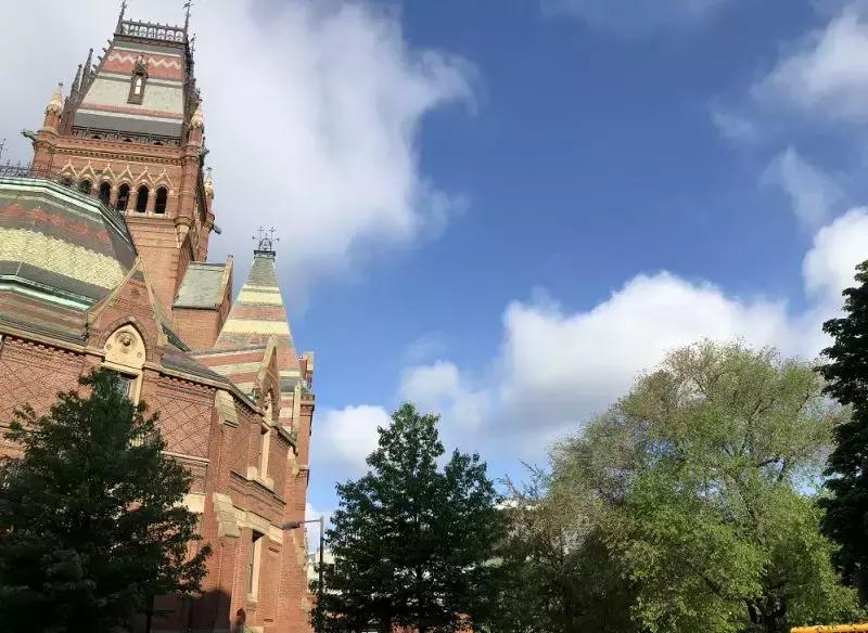 陈春花经历,陈春花经典演讲